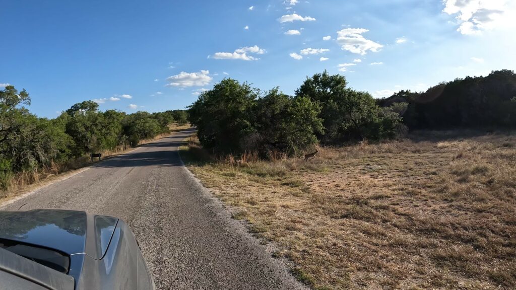 Pedernales Falls State Park - Leaving - Deer