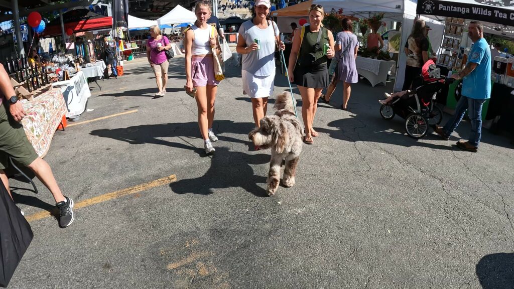 Puppy Friendly Farmers Market