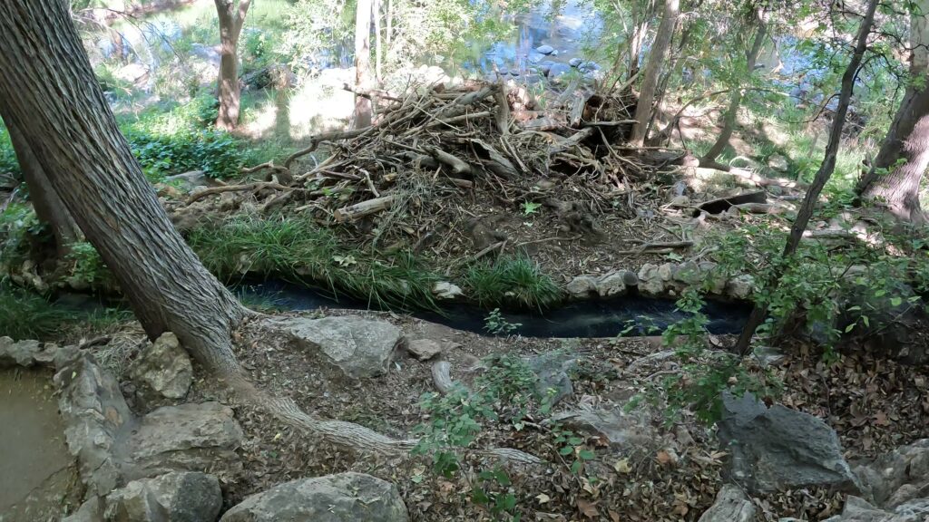 Irrigation Channel and Verde Creek