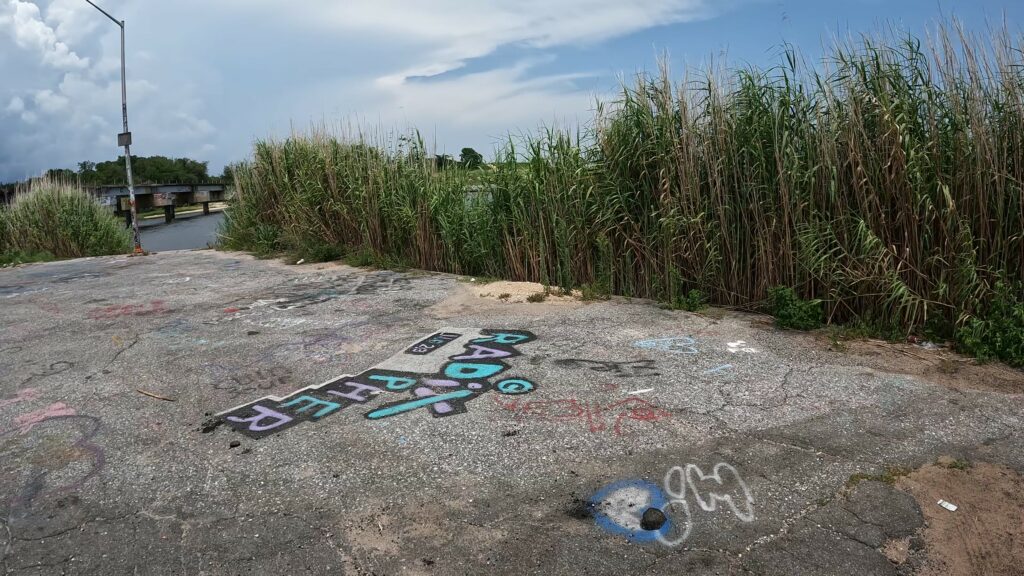 Artistic Expression in the Boat Launch Parking Lot