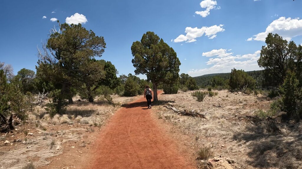 Walkway on the Rim Trail