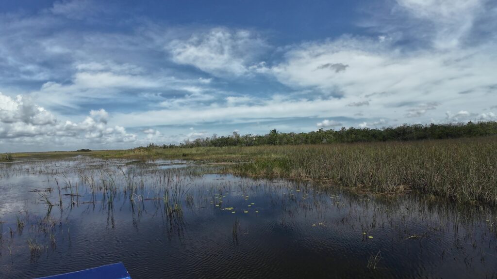 View from the Airboat