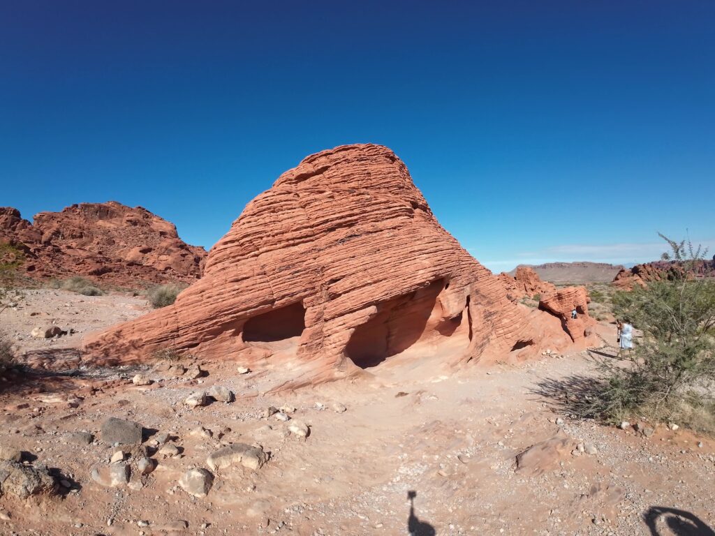 Bee Hives in Valley of Fire State Park