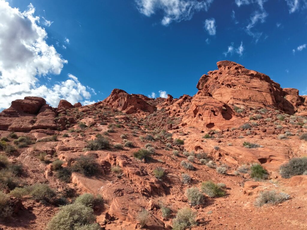 Elephant Rock Trail