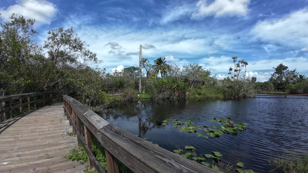 Nature Walk at the Everglades Safari Park