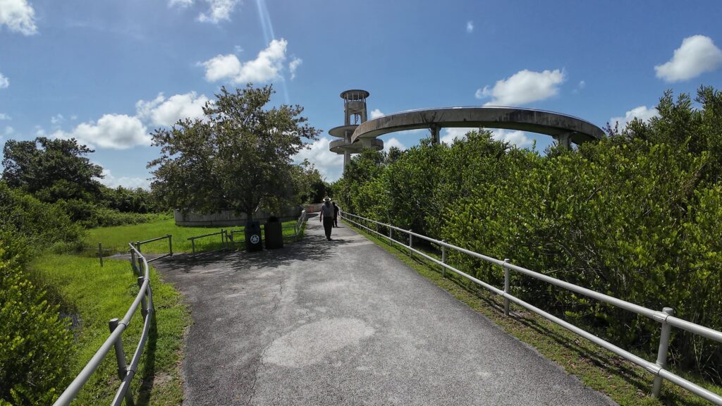 The Shark Valley Observation Tower