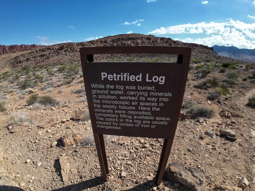 Sign for Petrified Log Trail