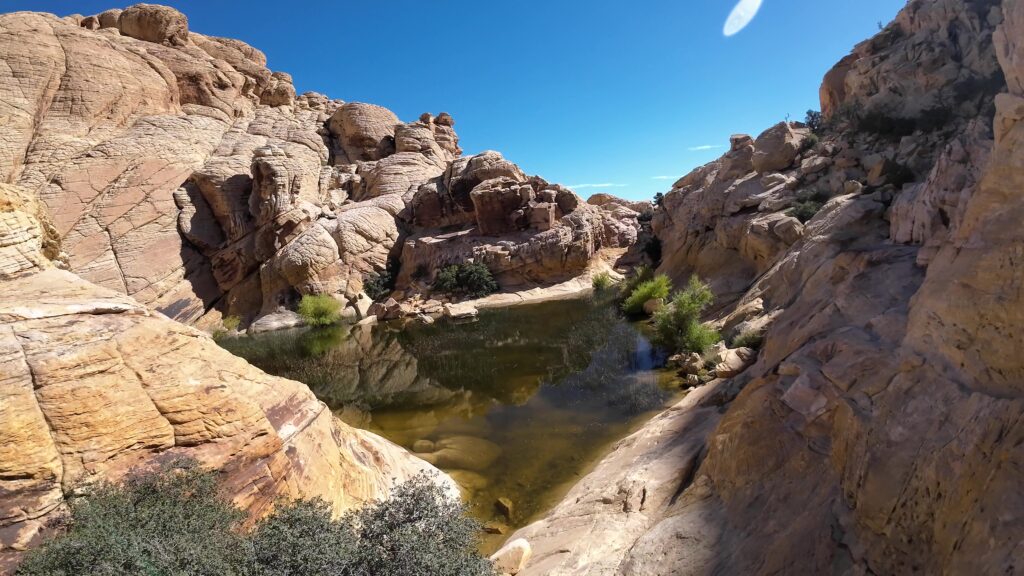 Another View of the Tank on Calico Trail