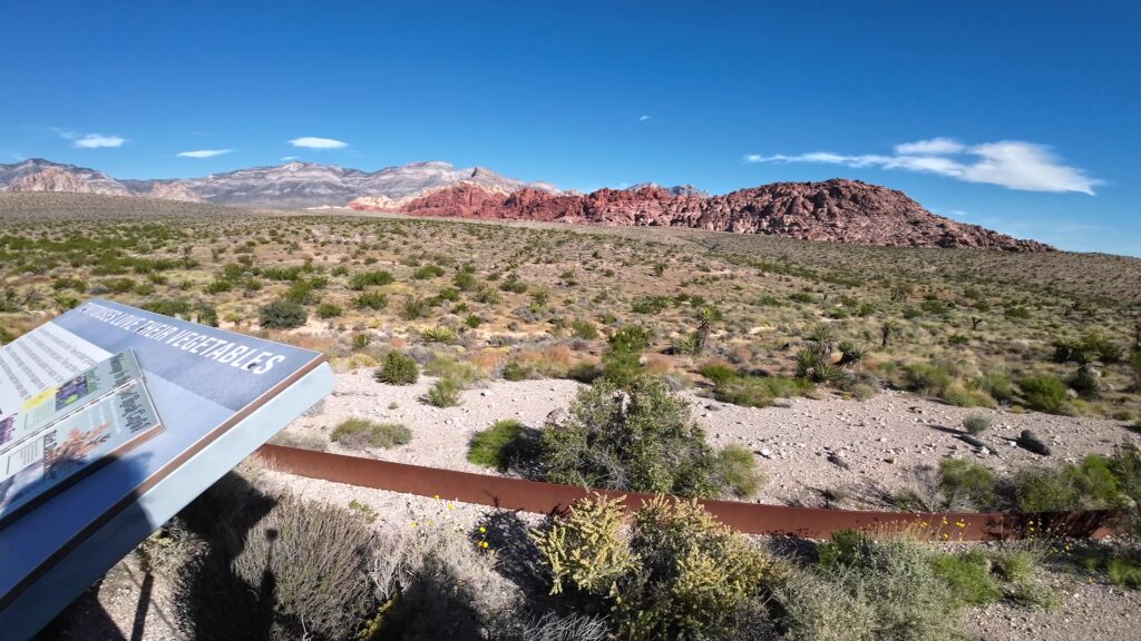 View from the Red Rock Canyon Visitor Center