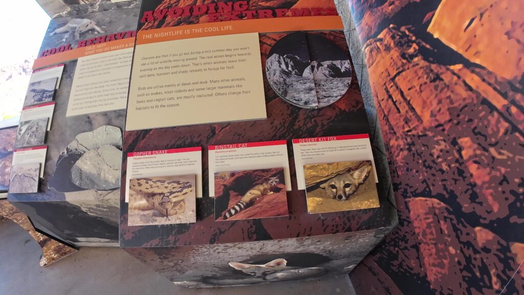 Exhibit at the Red Rock Canyon Visitor Center