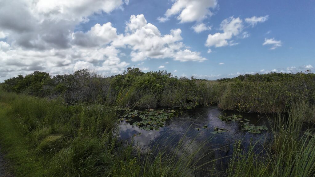 A Culvert Under the Path Allowing the River of Grass to Flow