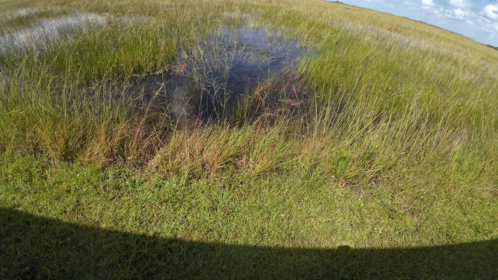 A Culvert Under the Path Allowing the River of Grass to Flow