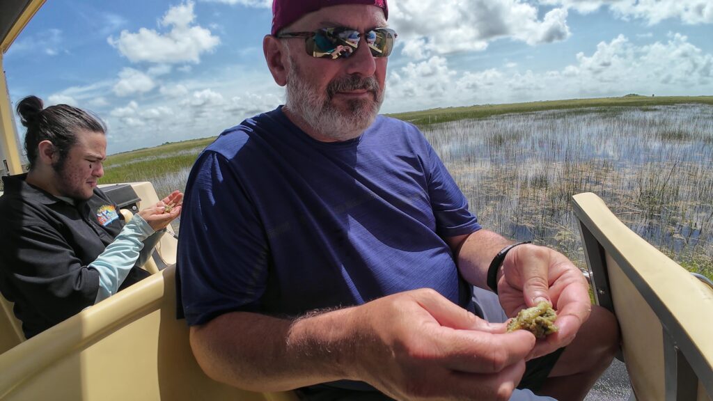 Trying to Figure Out this Collection of Algae - No smell and no taste