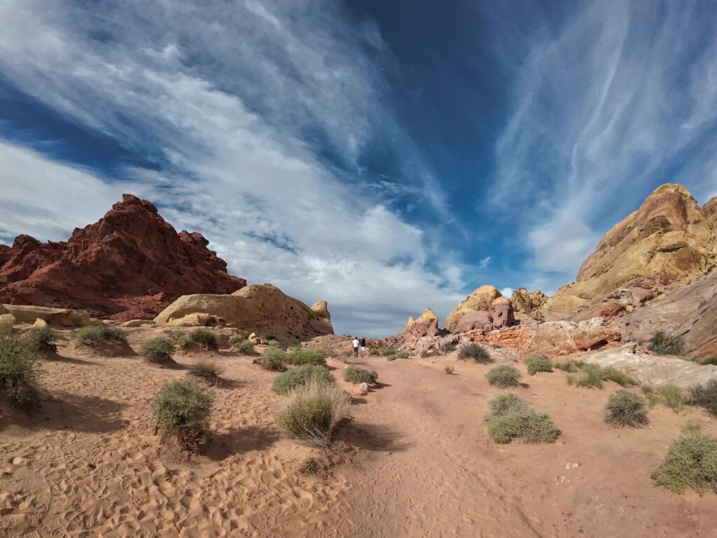 Contrasting Colors on the White Domes Trail