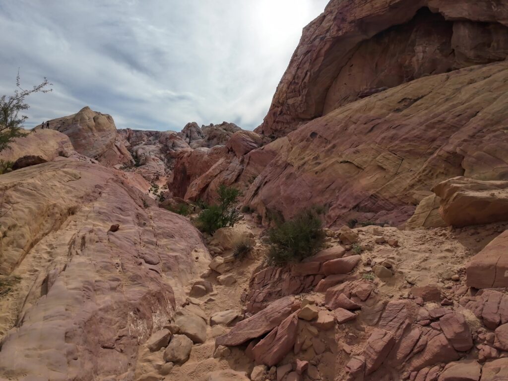 Heading Down on the White Domes Trail