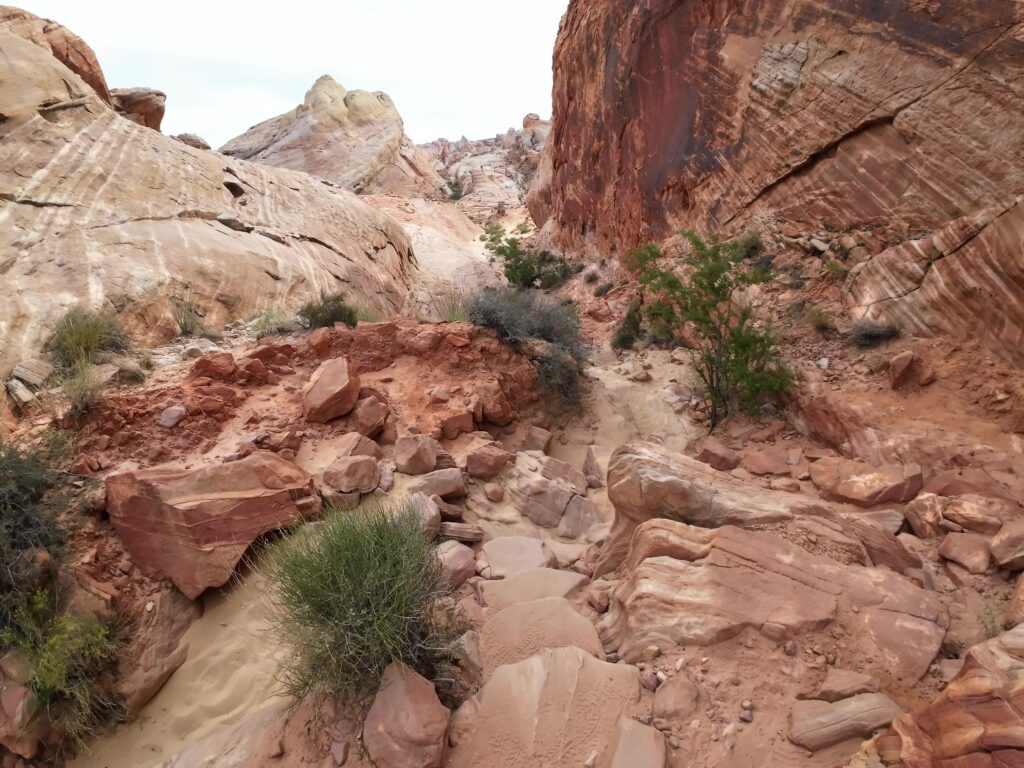 White Domes Trail