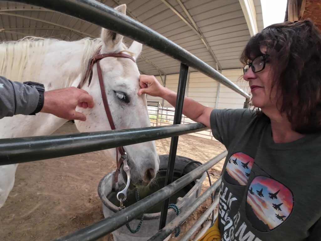 Getting to Know one of the Horses