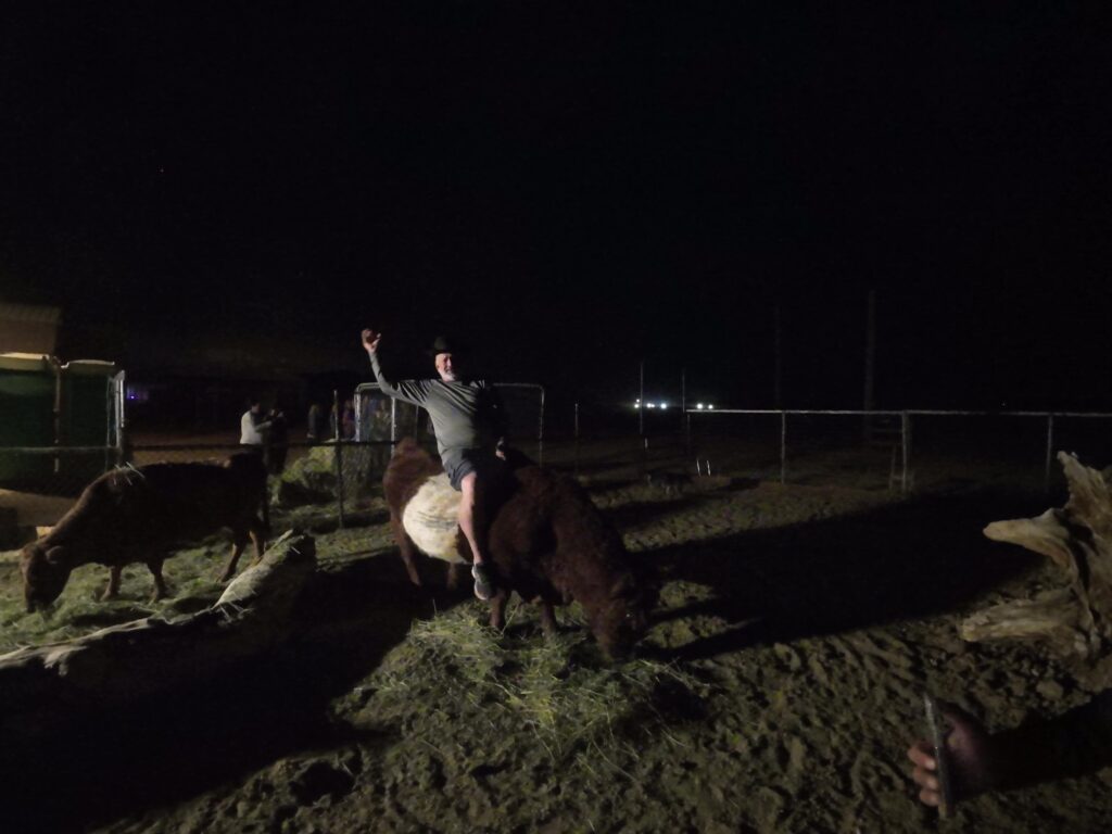 Riding the Bull