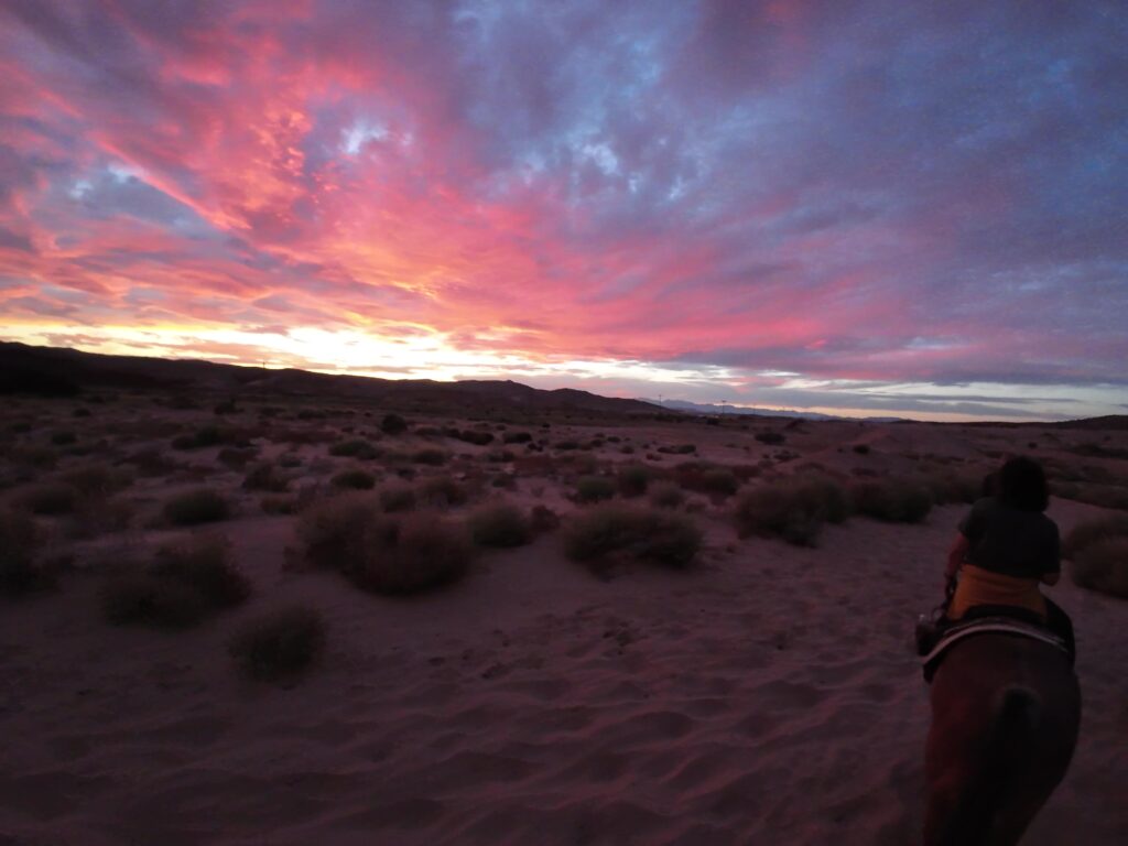 Sunset Horseback Ride in Nevada