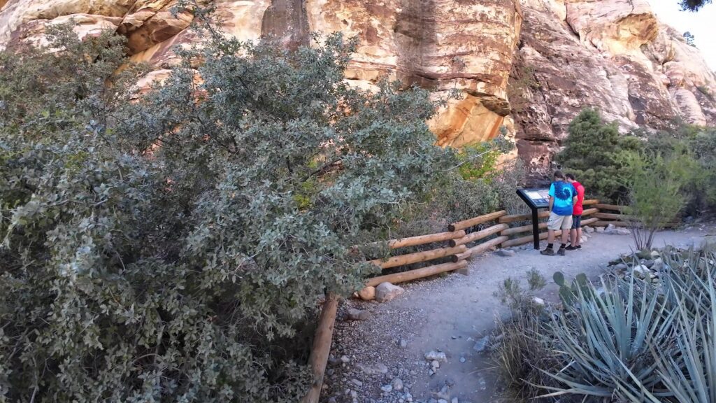 Walking Up to the Petroglyphs