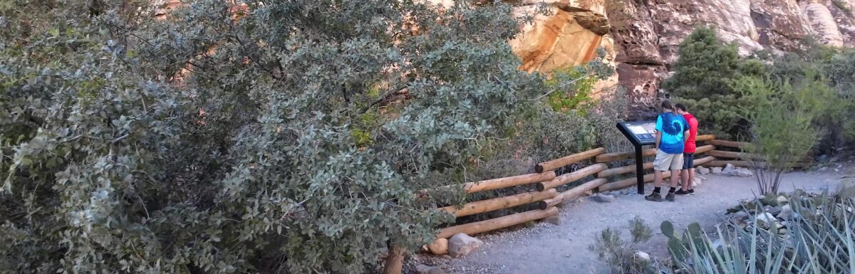 Walking Up to the Petroglyphs