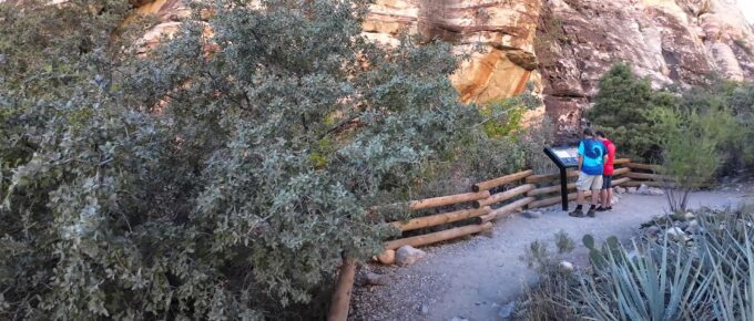 Walking Up to the Petroglyphs