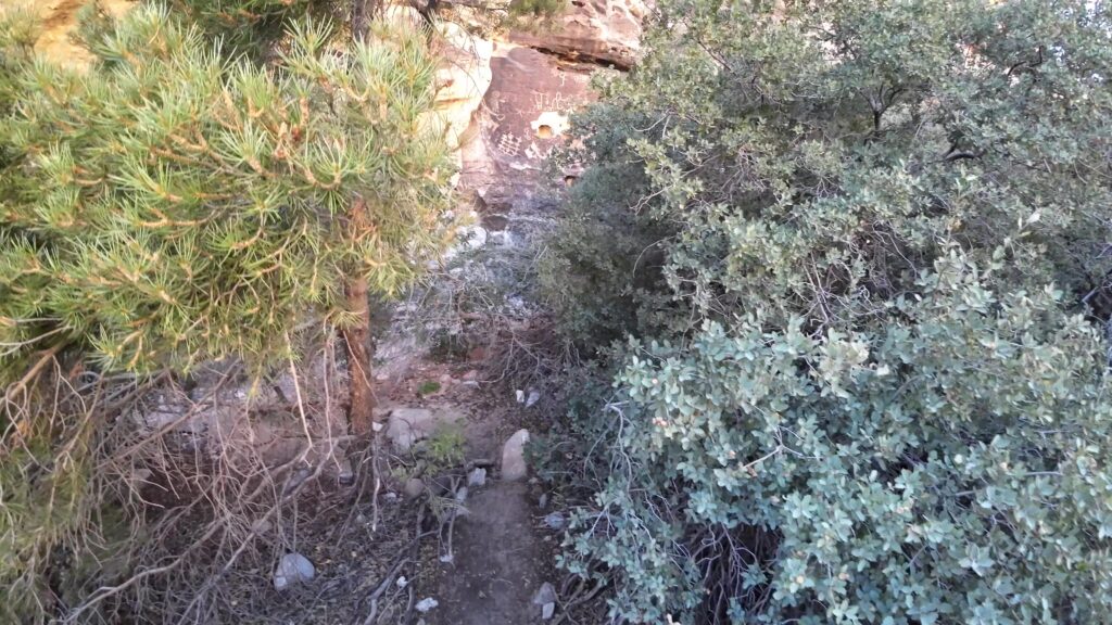 Petroglyphs on the Rock Face