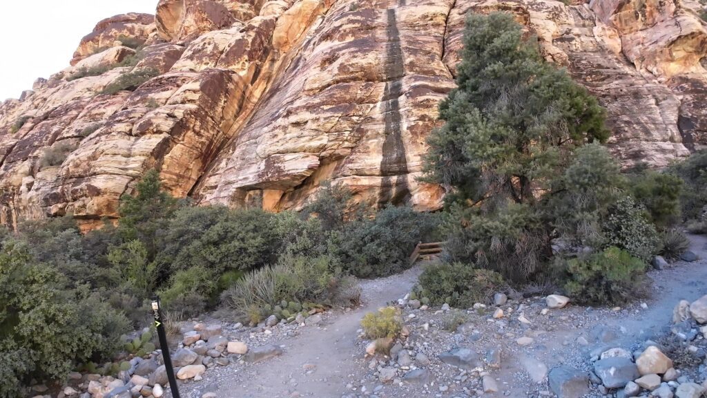 On the Trail to the Petroglyph Wall