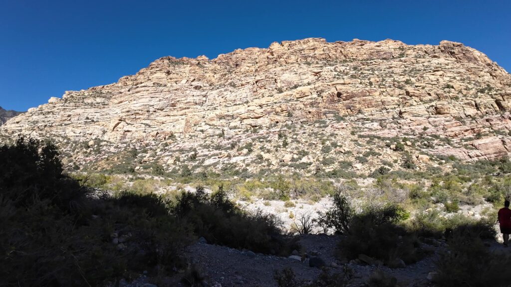 Red Rock Canyon Scenic View